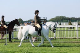 C33_0572 2026