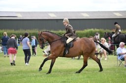 04 HOYS Small Hunter