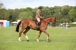 W36_2492 2026