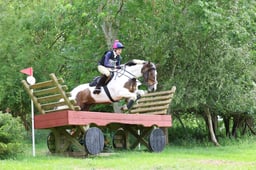 155 Angus III