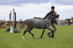 J36_7144 2026