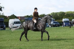 E36_0470 2026