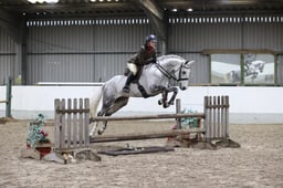 CL70 Novice WH Horse