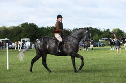 E36_0472 2026