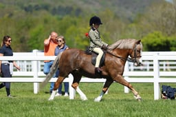 H19_0640 2026