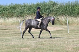 S60_0512 2026