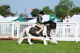 F33_0071 2026