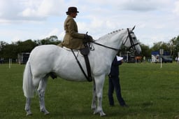 E36_2133 2026