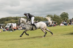 E39_5403 2026