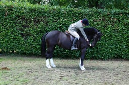 F47_5537 2026