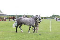 J36_6962 2026