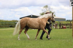 J36_7089 2026