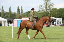 E36_2286 2026