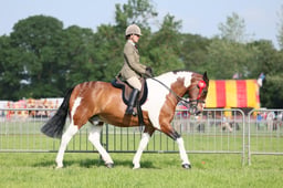 C34_0579 2026