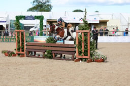 570 HOYS WHP 133cm