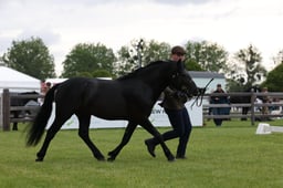 W29_0748 2026