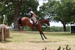 B56_2374 2026