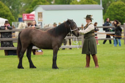 S29_0347 2026