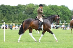 H36_8403 2026