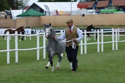 M45_2311 2026