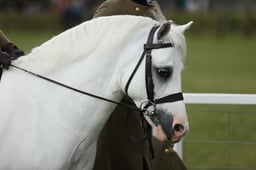 E30_3533 2026