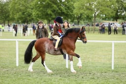 E30_3098 2026