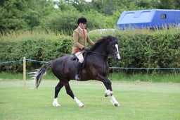 W36_1497 2026
