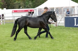 W29_0573 2026