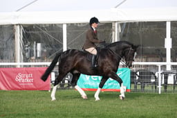 M43_5141 2026