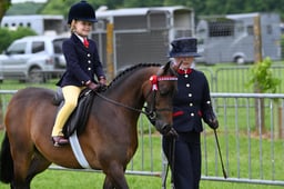 72 RIHS Lead Rein Show Pony