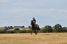 C57_0897 2026