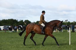E36_0390 2026
