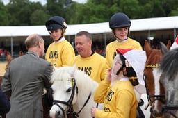 K31_3035 2026