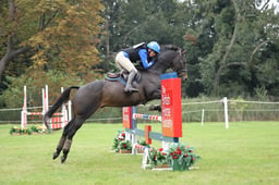 Eventer Challenges