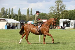 E36_2371 2026