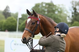E28_0249 2026