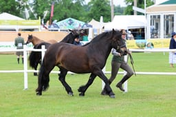 C44_0347 2026
