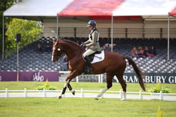 MEGS4643 2026