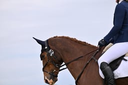 B21_5406 2026