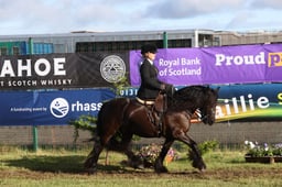 E46_0067 2026
