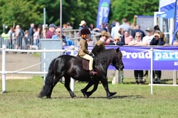 C46_4045 2026