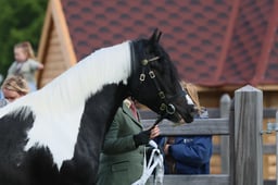 S28_8336 2026