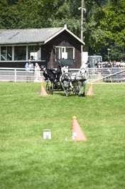 D42_1886 2026