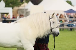 S29_0465 2026