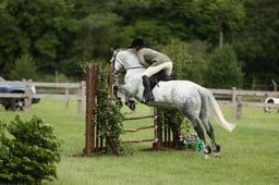 E41_0023 2026