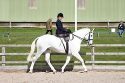 Class 23 SSA – Open Equitation