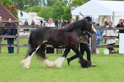 S28_9657 2026