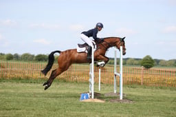 X21_1292 2026