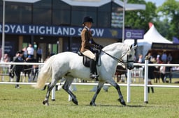 H47_0662 2026