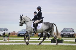 A20_0066 2026